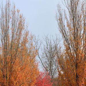 Meet your Posher, Agueda